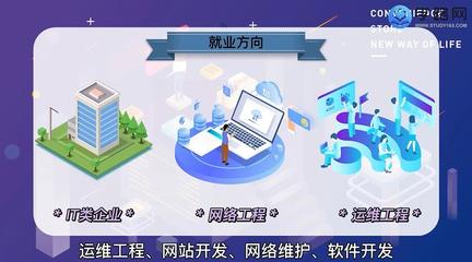 網(wǎng)絡(luò)工程專業(yè) 深入解析計(jì)算機(jī)軟件開發(fā)與運(yùn)維服務(wù)